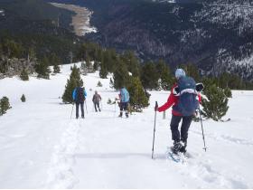 photo coins arrondis